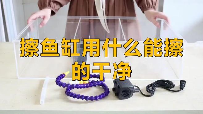 如何安全地清理龍魚缸？，摩羯寵醫楊,清洗魚缸別發愁,學會6招輕松清潔! 如何安全地清理龍魚缸？，摩羯寵醫楊,清洗魚缸別發愁,學會6招輕松清潔! 龍魚論壇 第1張