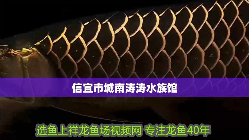 信宜水族店，信宜市富盈海洋水族館有哪些特色產(chǎn)品
