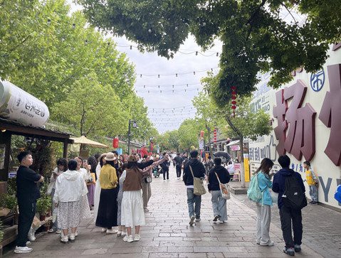 揚州龍魚店，揚州龍魚價格是多少