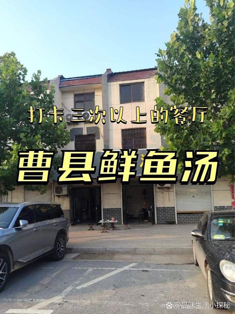 曹縣龍魚店，曹縣龍魚店開業啦！