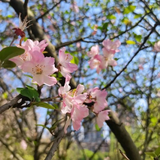 撫州龍魚店，撫州龍魚店加盟星開個龍魚店需要多少錢創(chuàng)業(yè)機(jī)遇等你來抓