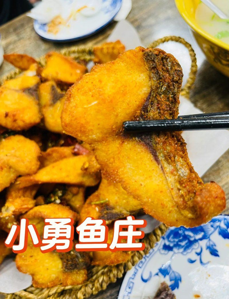 運城龍魚店，運城龍魚文化探秘
