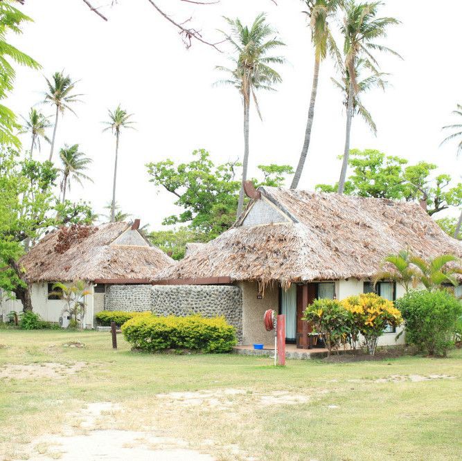 運城龍魚店，運城龍魚文化探秘