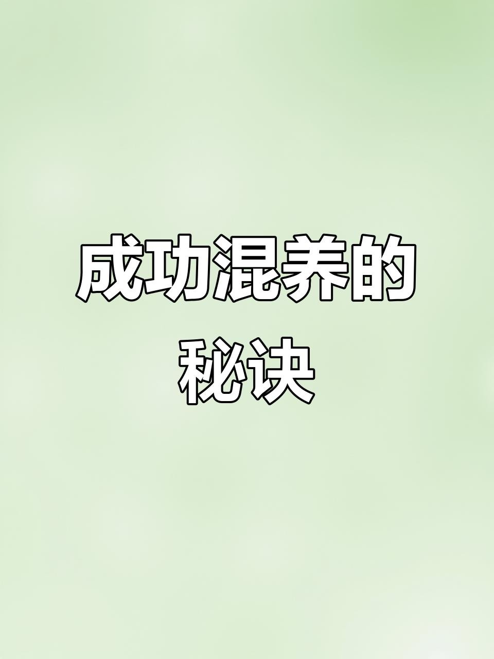 如何科學搭配龍魚混養中的配魚？，龍魚和什么魚混養最好