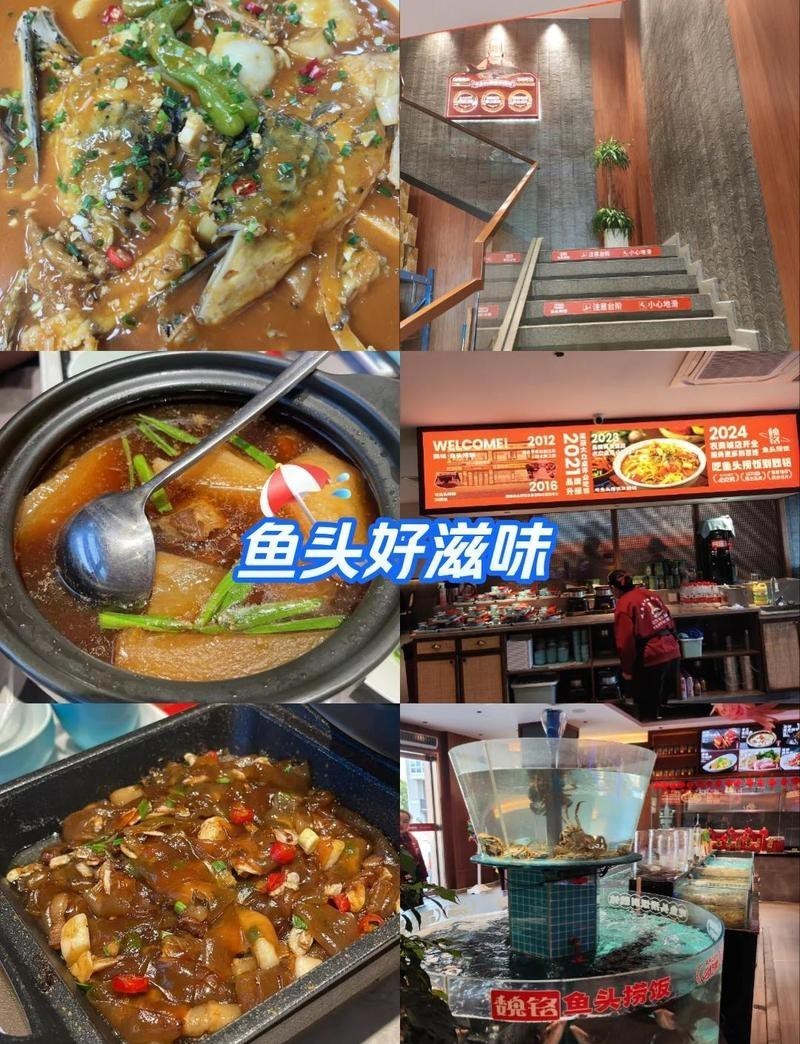 嘉善龍魚店，晉陽東路嘉善店的聯系方式