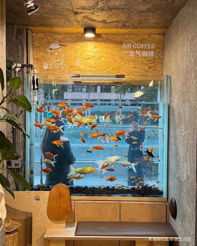 金華魚缸店，金華市婺城區(qū)水一方魚缸經營部名錄集金華市婺城區(qū)水一方魚缸店