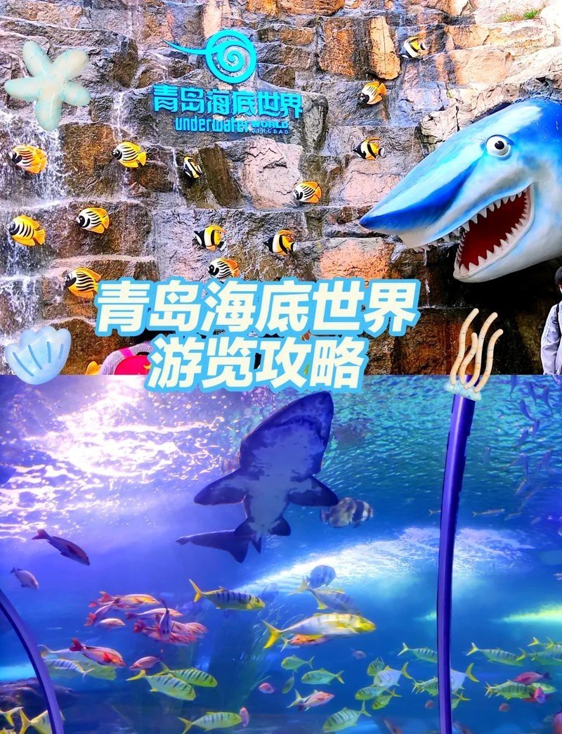 嶗山水族店，嶗山區(qū)水族店的價(jià)格范圍