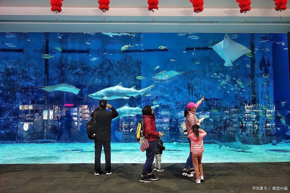 太原水族館，華北地區首個購物中心內的水族館沙沙嘩啦海洋館：水族館