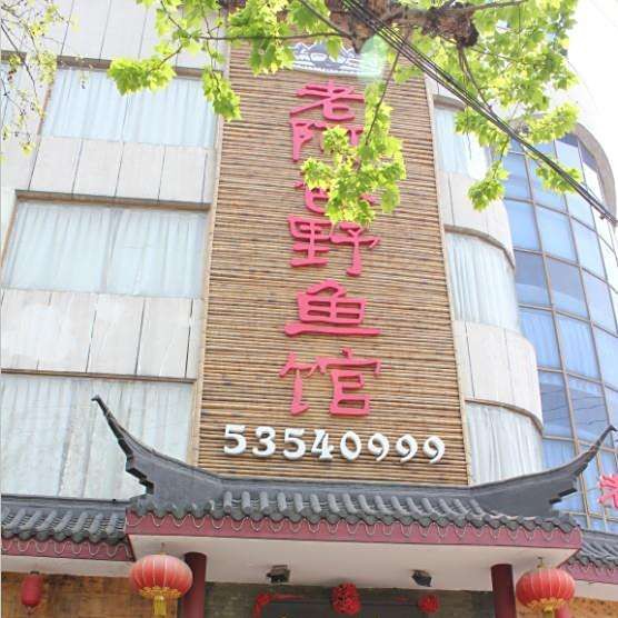 太倉龍魚店，太倉哪里可以買到龍魚