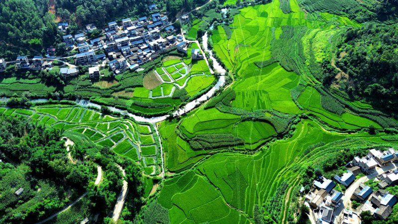 文山壯族苗族自治州魚缸批發(fā)市場，文山壯族自治州的魚缸批發(fā)市場是當(dāng)?shù)靥厣藤Q(mào)的重要組成部分