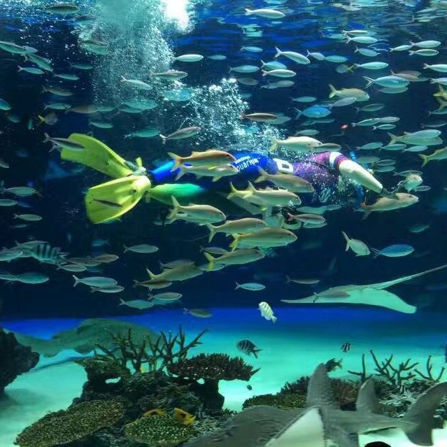 茂名水族館，東莞電白區陽朝水族館成立于2019年水族文化體驗