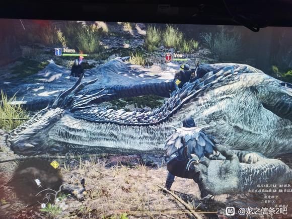 紅龍級別玩家心得分享，《失落城堡》紅龍怎么打紅龍打法心得分享