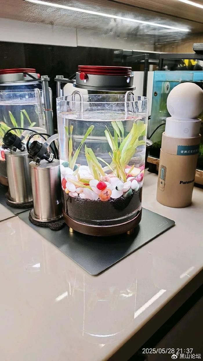 藍天魚缸店，“藍天魚缸店”是一家專注于水族用品專業店鋪的專業店鋪