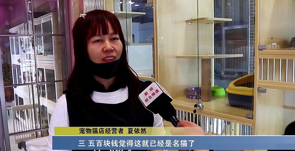 太原龍魚店，太原市小店區(qū)麟鳳龜龍魚店的經(jīng)濟(jì)脈動(dòng)區(qū)麟鳳龜弋魚店