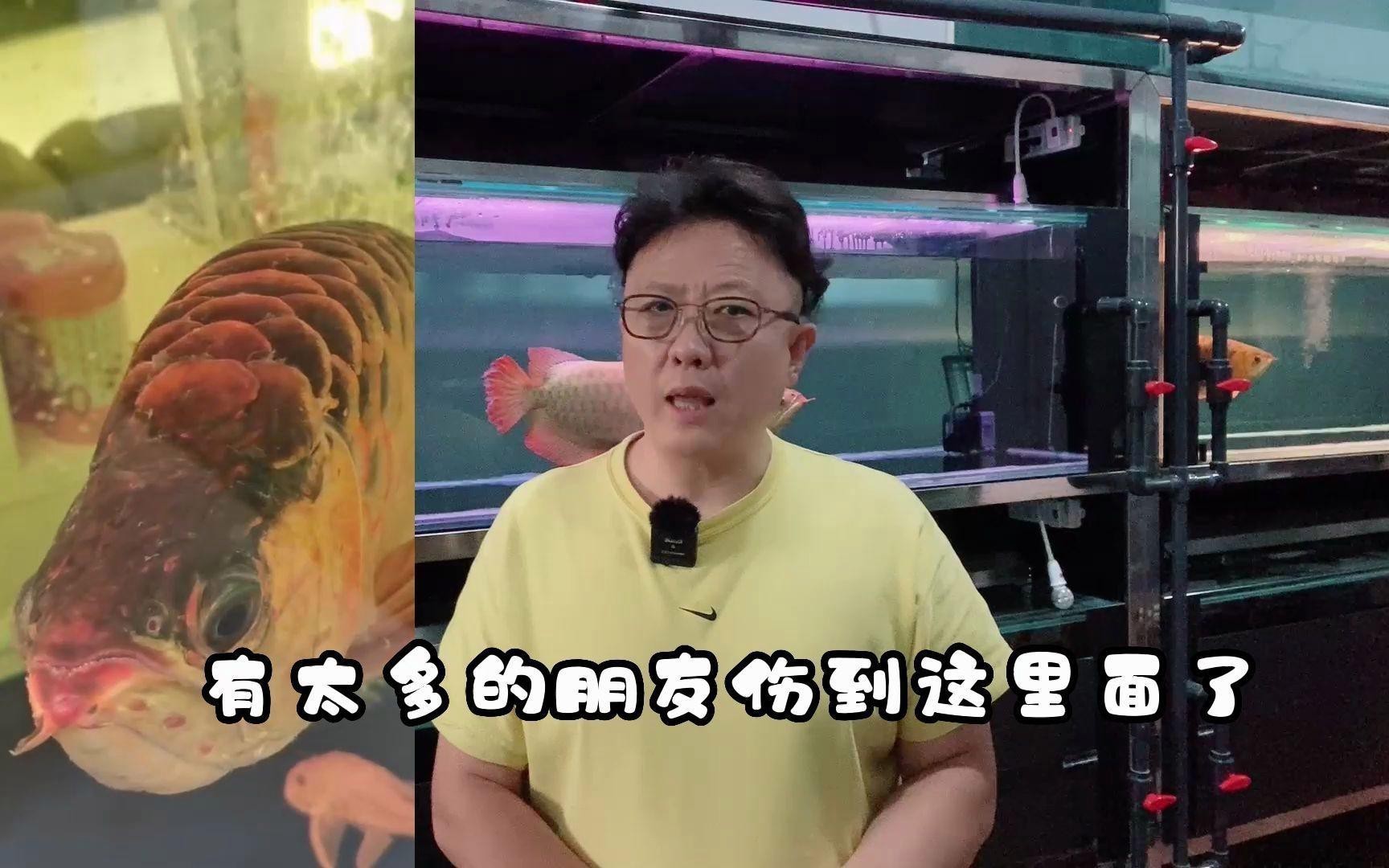 如何正確使用龍魚專用藥物？，如何正確使用龍魚專用藥物