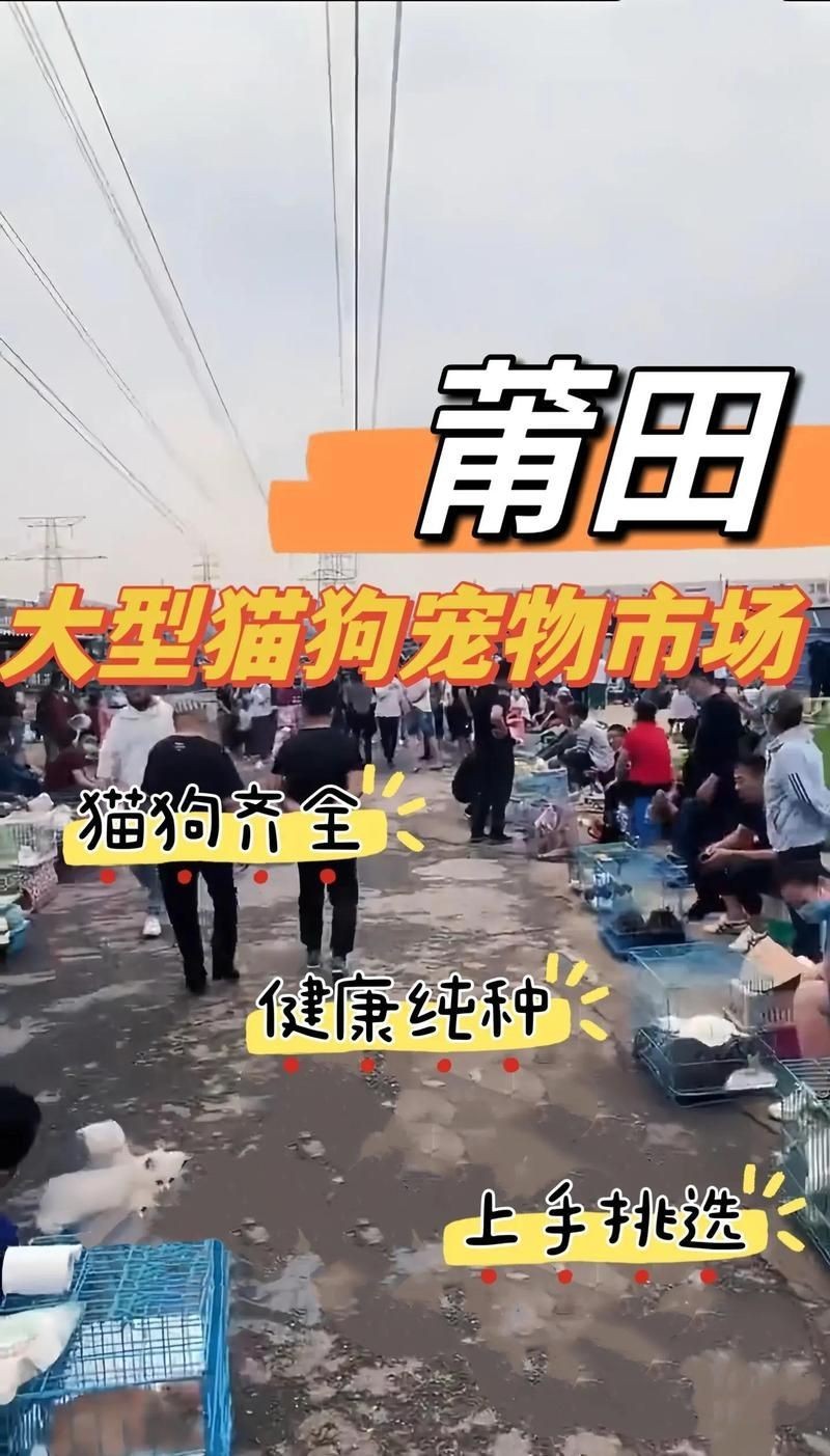 莆田水族批發(fā)市場(chǎng)，莆田水產(chǎn)品市場(chǎng)價(jià)格走勢(shì)分析 莆田水族批發(fā)市場(chǎng)，莆田水產(chǎn)品市場(chǎng)價(jià)格走勢(shì)分析 全國(guó)水族館企業(yè)名錄 第14張