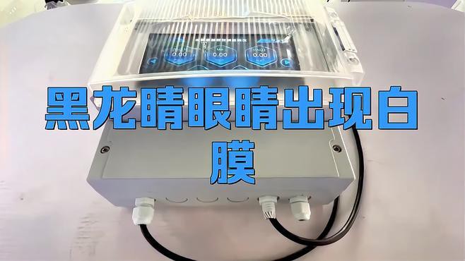 哪些因素會(huì)導(dǎo)致龍魚(yú)眼睛白膜？，《哪些因素會(huì)導(dǎo)致龍魚(yú)眼睛白膜？》