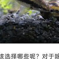 通化魚缸維護，通化地區的魚缸維護是一項系統性工作
