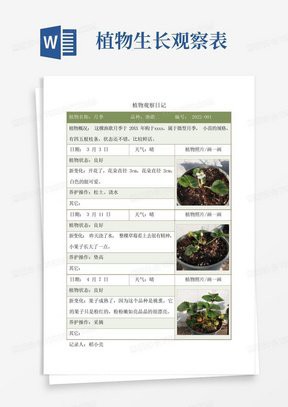如何制作金龍苗的成長記錄卡？，《如何制作金龍苗的成長記錄卡》