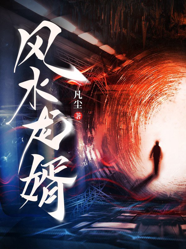 《風水龍婿》哪個版本更受歡迎？，《風水龍婿》哪個版本評價最高？