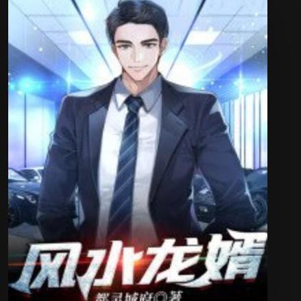 《風水龍婿》哪個版本更受歡迎？，《風水龍婿》哪個版本評價最高？