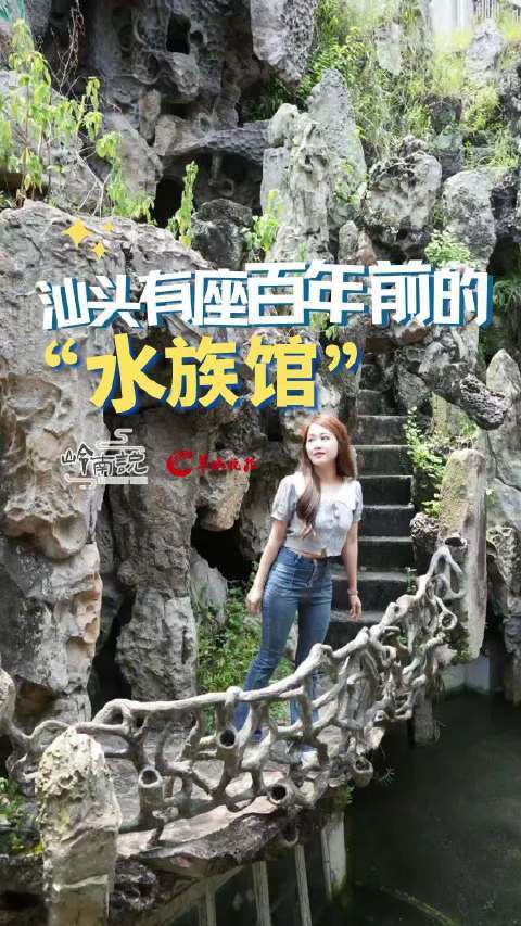 汕頭水族店，汕頭擁有多家特色鮮明的水族店，為當地及周邊地區(qū)的水族愛好者提供了豐富的選擇