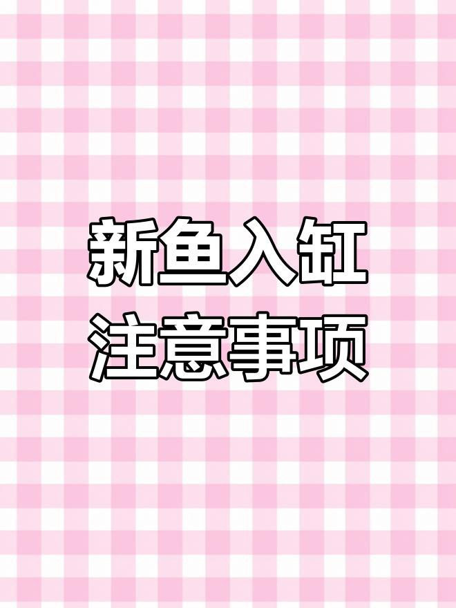 如何判斷龍魚是否適應新缸？，如何判斷水是否適合龍魚生長
