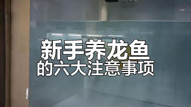 如何判斷龍魚是否適應新缸？，如何判斷水是否適合龍魚生長