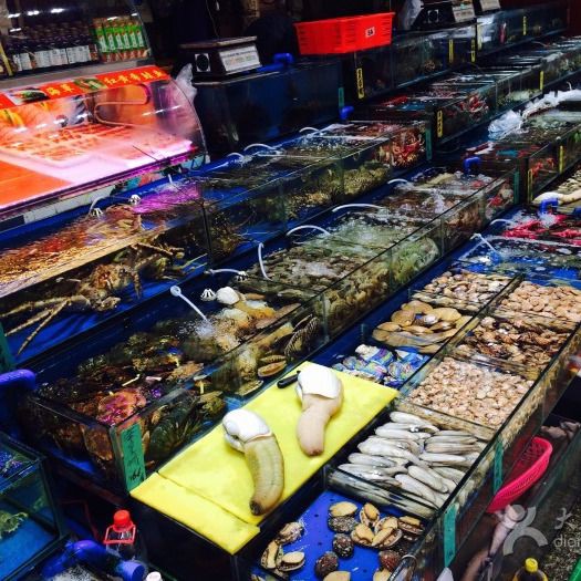 廣州最大的龍魚批發(fā)市場在哪里，廣州最大的龍魚批發(fā)市場在哪里(在哪里 廣州最大的龍魚批發(fā)市場在哪里，廣州最大的龍魚批發(fā)市場在哪里(在哪里 全國水族館企業(yè)名錄 第9張