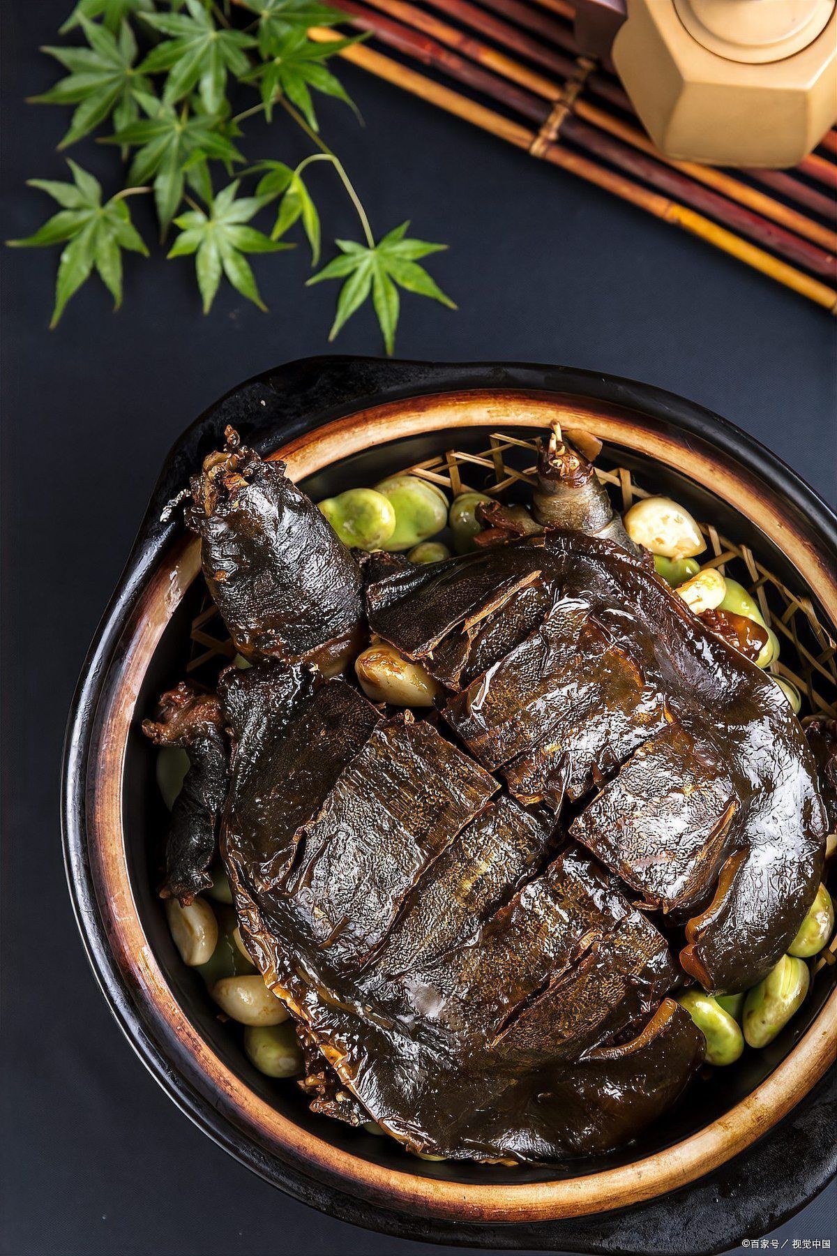 常德魚缸批發市場，常德魚缸批發市場是當地重要的水族用品集散地