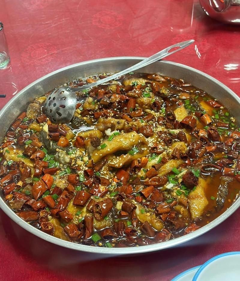 貴港龍魚店，貴港市港北區龍魚建材店
