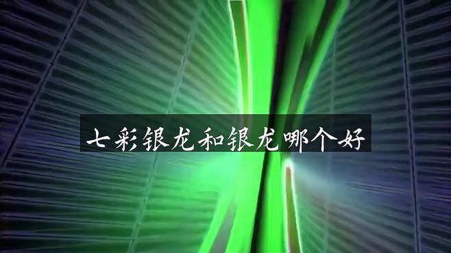 七彩龍魚和銀龍魚哪個更適合新手？，七彩龍魚和銀龍魚哪個好evan漫游記漫游記