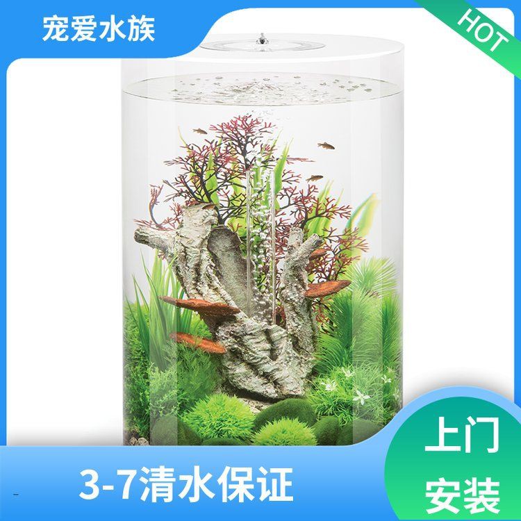 大連魚缸批發(fā)市場(chǎng)，大連魚缸批發(fā)市場(chǎng)分布