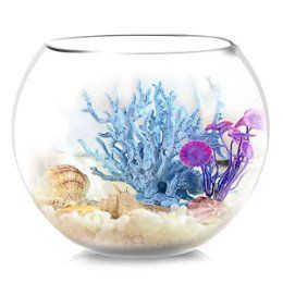 灞橋區魚缸批發市場，灞橋區大剛觀賞魚批發店名錄集 灞橋區魚缸批發市場，灞橋區大剛觀賞魚批發店名錄集 全國水族館企業名錄 第12張