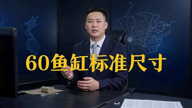 60公分銀龍魚需要多大的魚缸？，60公分銀龍魚怎么養(yǎng)及喂養(yǎng)技巧有哪些網(wǎng)易「從0開始養(yǎng)龍魚 60公分銀龍魚需要多大的魚缸？，60公分銀龍魚怎么養(yǎng)及喂養(yǎng)技巧有哪些網(wǎng)易「從0開始養(yǎng)龍魚 龍魚論壇 第6張