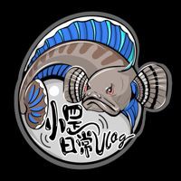 公魚跟母魚配對，《公魚跟母魚配對》