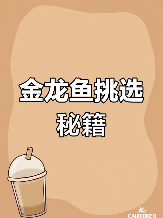 如何挑選健康的金龍魚苗？，如何挑選健康的金龍魚苗從漁場到水族店全程解析
