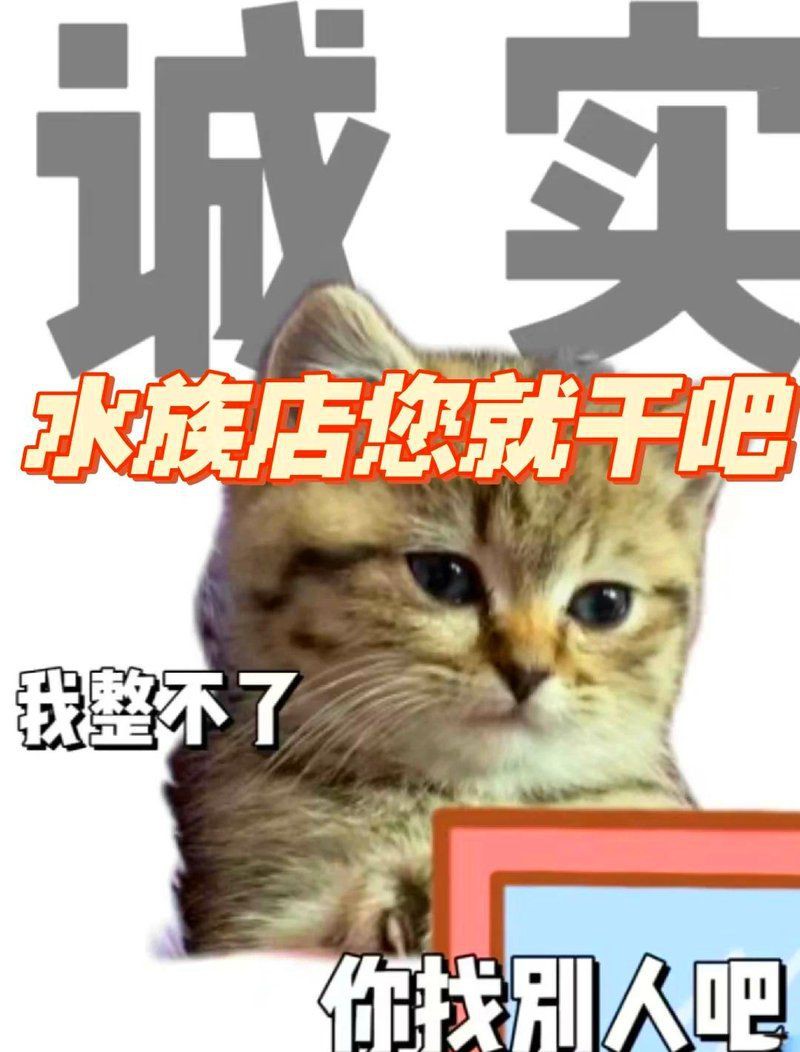 阿壩藏族羌族自治州水族批發(fā)市場，阿壩藏族羌族自治州水族批發(fā)市場發(fā)展現(xiàn)狀 阿壩藏族羌族自治州水族批發(fā)市場，阿壩藏族羌族自治州水族批發(fā)市場發(fā)展現(xiàn)狀 全國水族館企業(yè)名錄 第5張