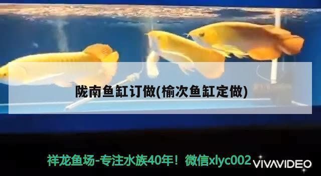 隴南魚缸定做，打造專屬的水族世界
