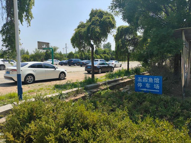 普蘭店龍魚店，揭陽龍魚專賣店普蘭店龍魚專賣店地址在哪里