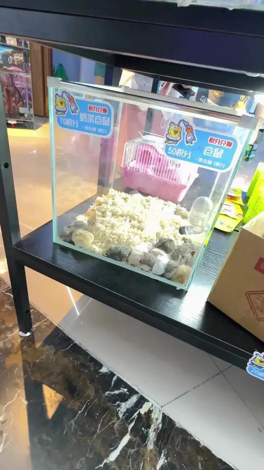 平桂區水族店，東莞平桂區水族·寵物有哪些特色服務
