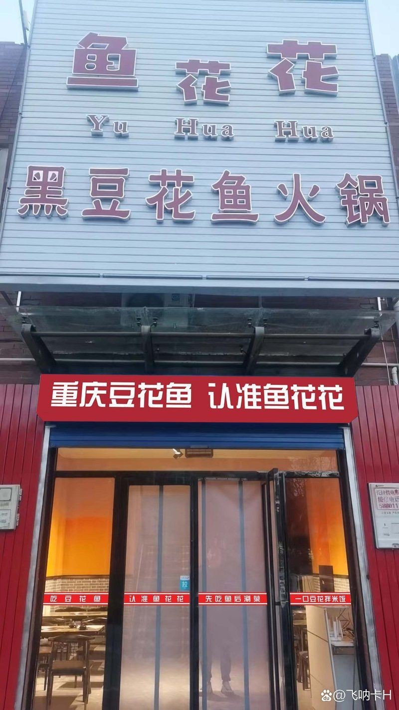 石嘴山龍魚店，石嘴山龍魚創(chuàng)業(yè)記