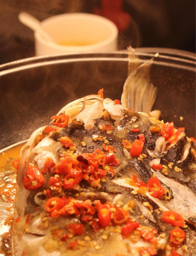 新余龍魚店，新余龍魚價格是多少