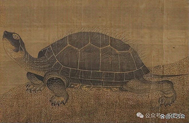 佛說烏龜和主人的緣分，《佛說烏龜與主人的不解之緣》烏龜與主人的不解之緣