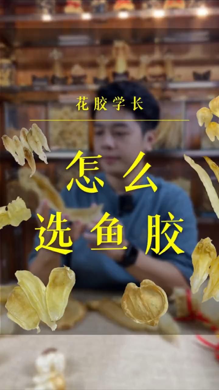 什么魚膠最好，《什么魚膠最好》