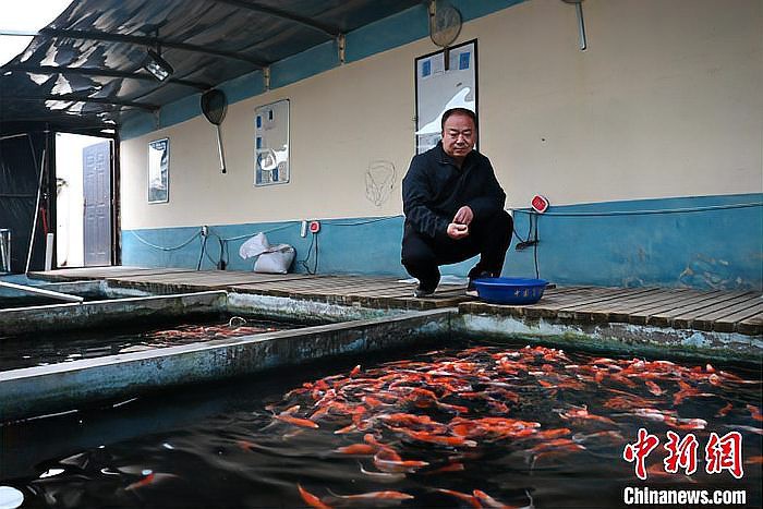 涉縣龍魚店，涉縣有沒(méi)有水族店