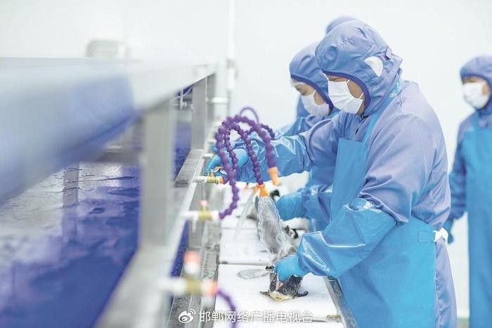 涉縣龍魚店，涉縣有沒(méi)有水族店