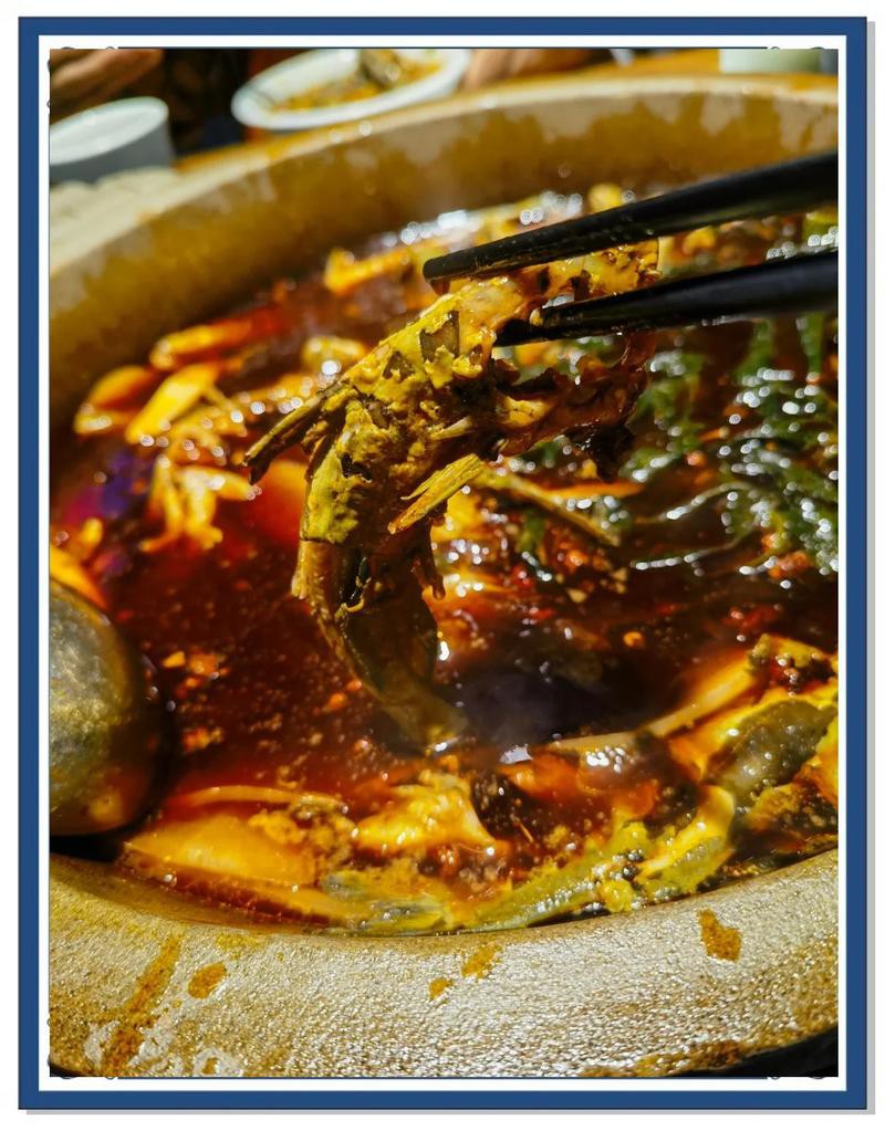 廣漢龍魚店，廣漢有沒有龍魚養殖場