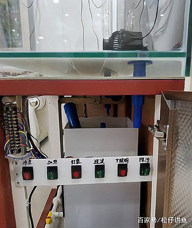 白銀魚缸定做，《白銀魚缸定做》隨著個性化家居裝飾需求的日益增長