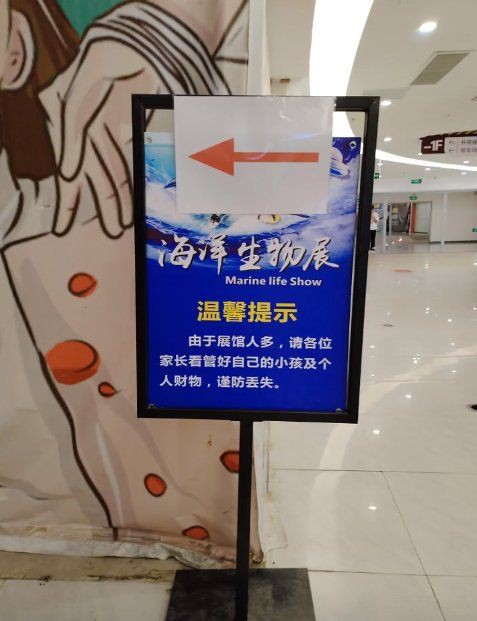 玉林魚缸店，關于玉林魚缸店